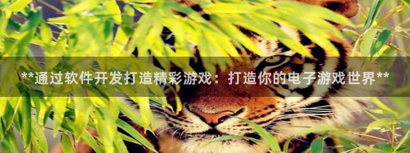 沐鸣娱乐2官网网址是多少