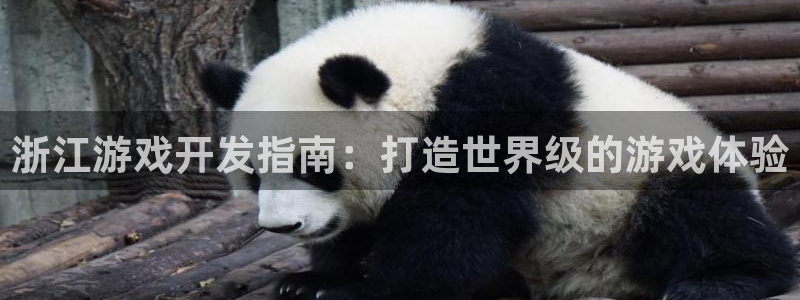 沐鸣2官网 5O6917：浙江游戏开发指南：打造世界级的游戏体验
