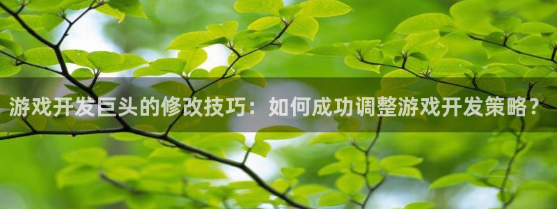 沐鸣娱乐2测速：游戏开发巨头的修改技巧：如何成功调整游戏开发策略？